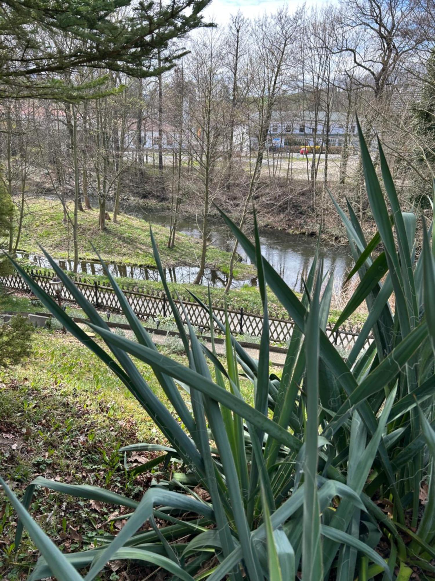 Obergurig Ferienhaus Lavendel מראה חיצוני תמונה